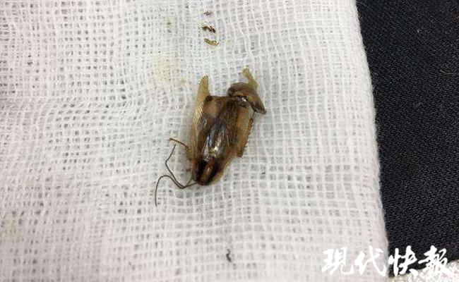 娱乐生活 第57页