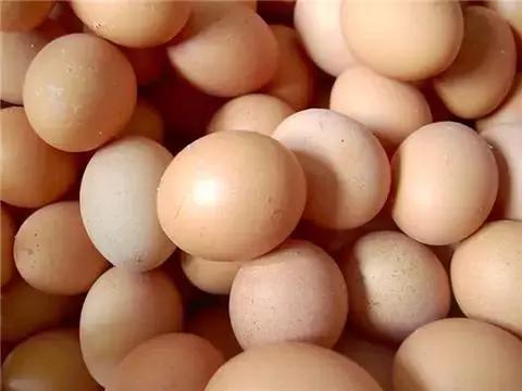 娱乐生活 第48页