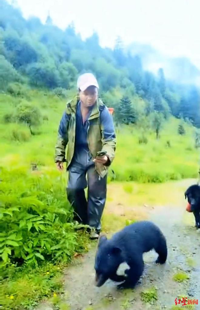 小黑熊把大黑狗当妈小黑熊的独特母爱，误把大黑狗当作母亲