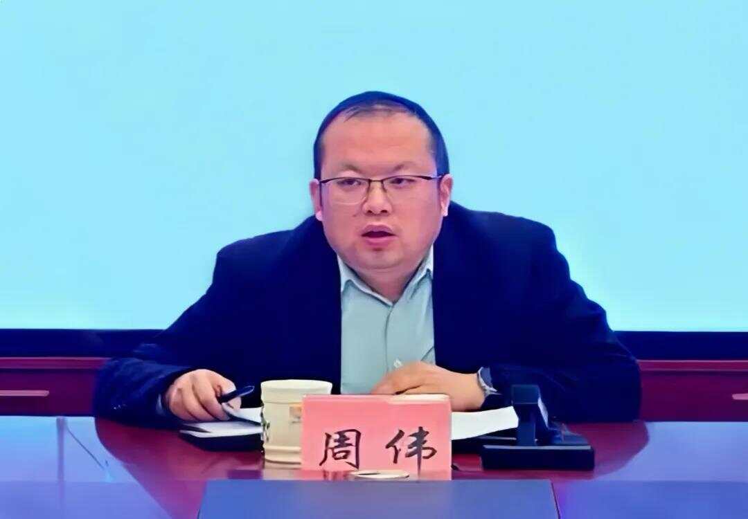 85后副市长周伟被查揭秘85后副市长周伟被查，背后的故事与启示